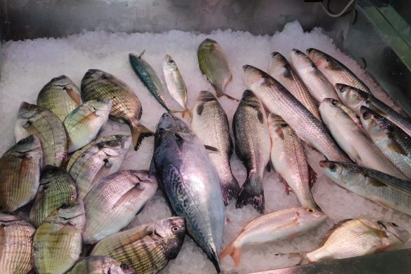 Fresh fish Lerici, Italy