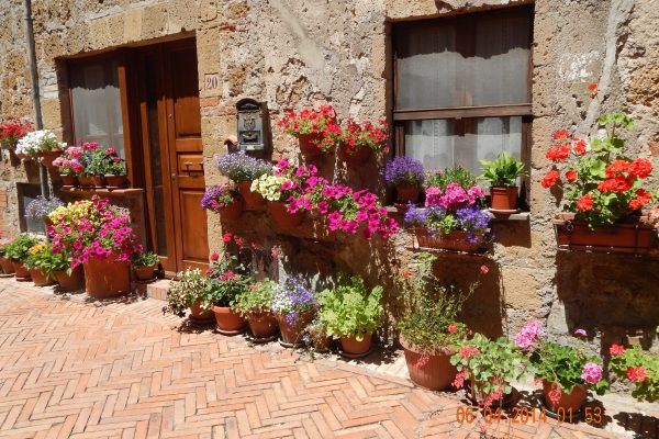 Flowers of Sovana, Italy